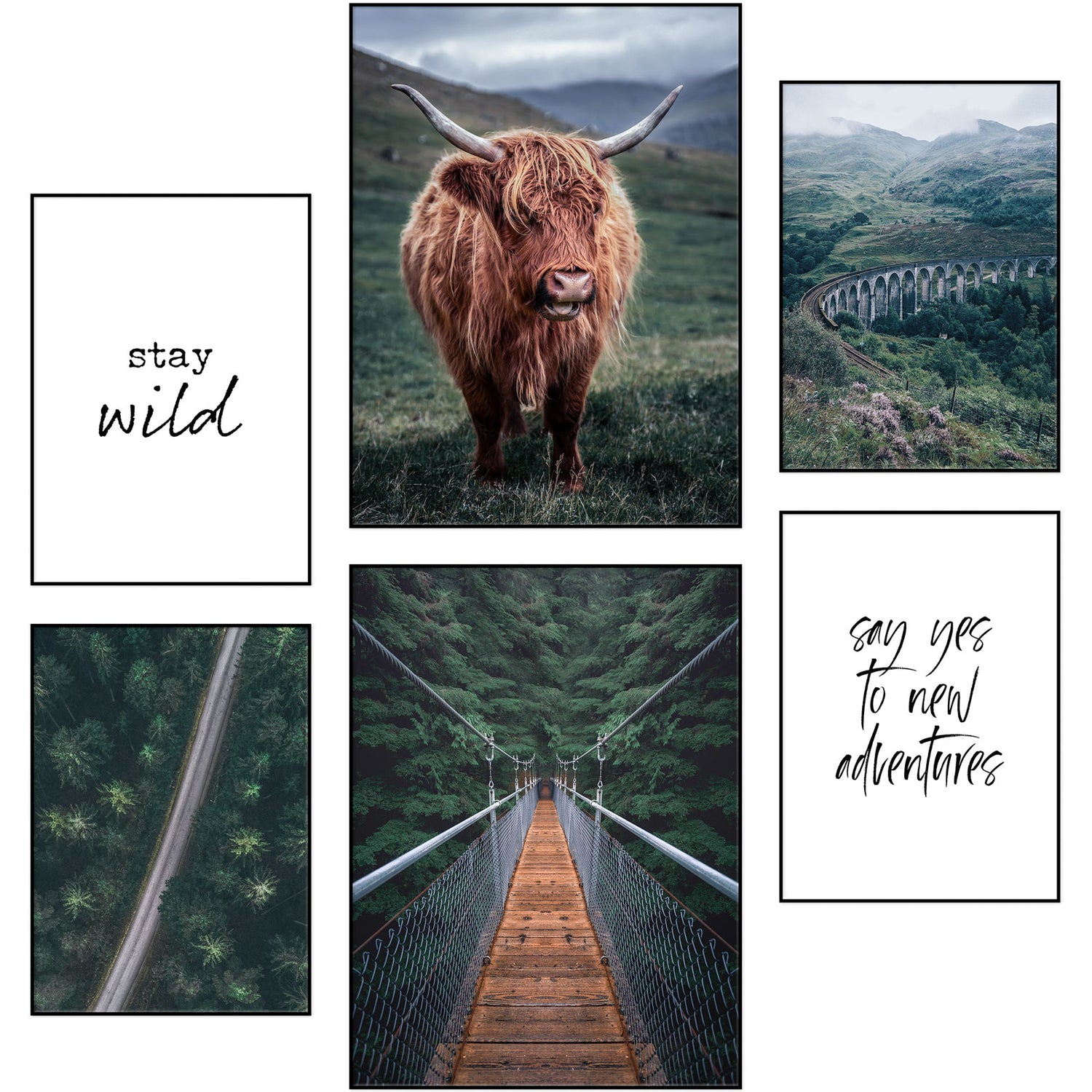 6-teiliges Premium Poster Set "Kuh Schottland Hängebrücke" - Reframed Poster Sets