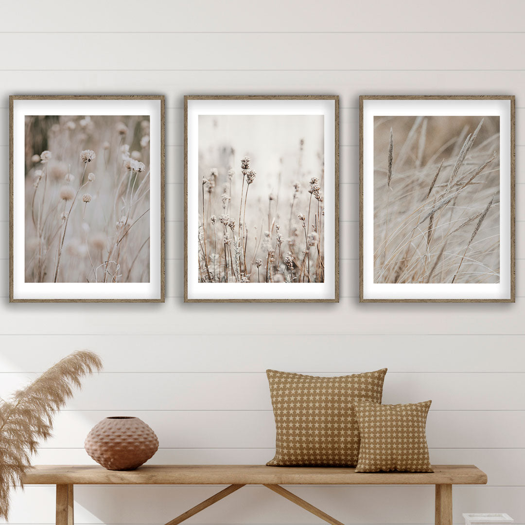 Beige Gräser white framed Poster Set - Reframed Poster Sets