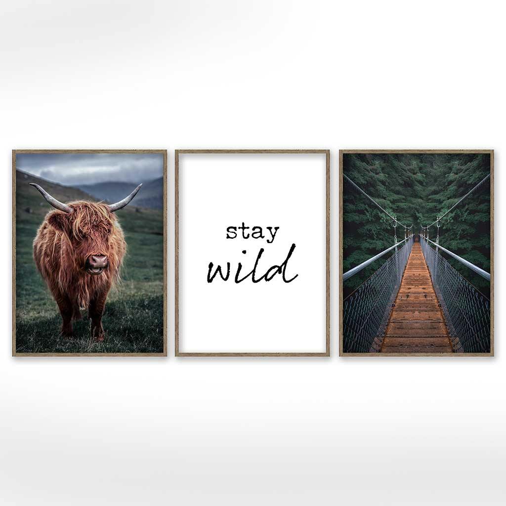 3-teiliges Premium Poster Set Schottland Kuh "Stay Wild" - Reframed Poster Sets