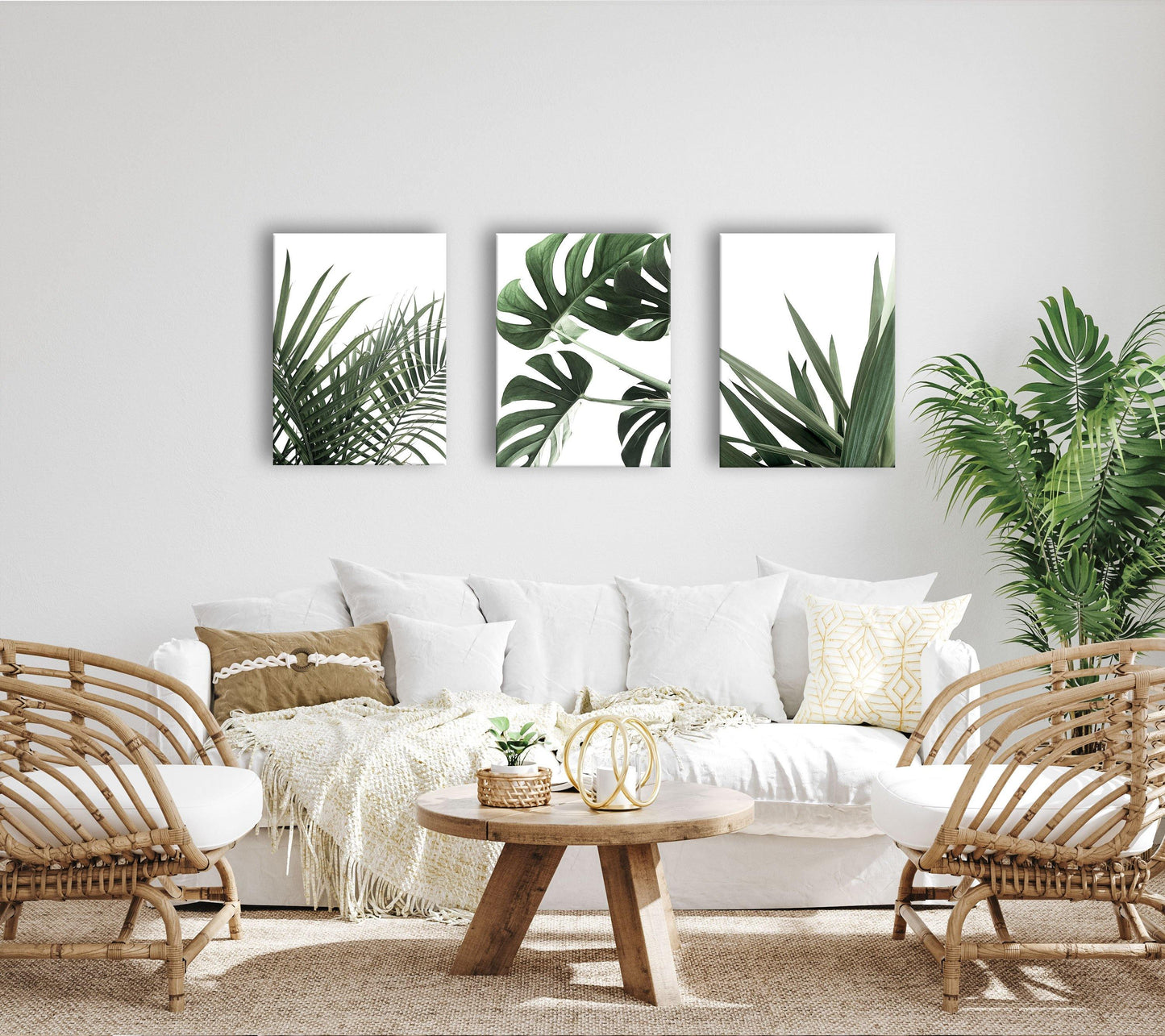 Monstera Palme Grünpflanzen Bilder Set auf Premium Leinwand - 3-tlg.