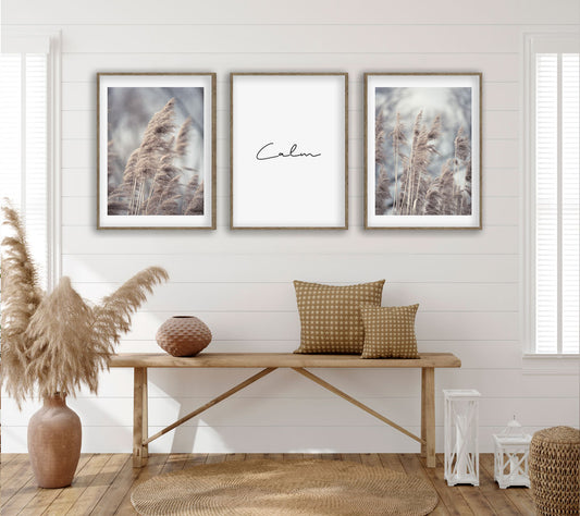 3-teiliges beige pampas-gräser-poster-set - Reframed Poster Sets